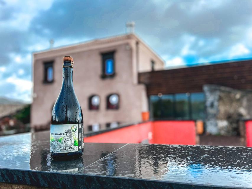 Etna: Wine Tasting and Food Tour - Who will enjoy this Etna day most