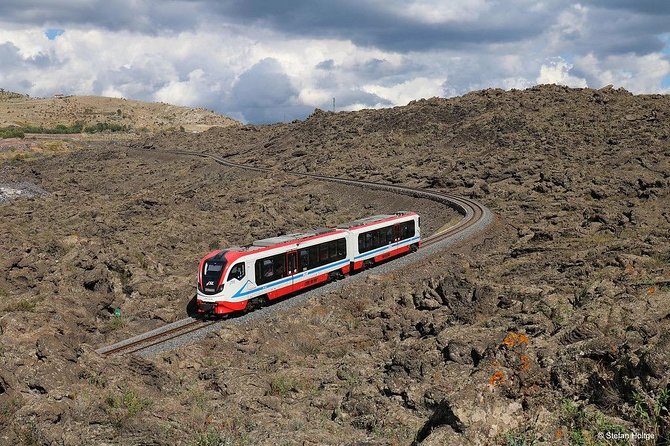 Etna Wine Tasting and Train Tour - Starting in Catania at 9:30 a.m.