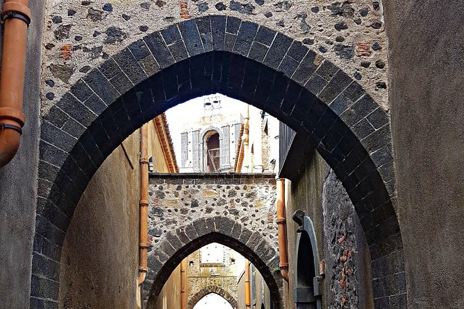 Etna Wine Tasting and Train Tour - Walking the vineyards and entering the cellar