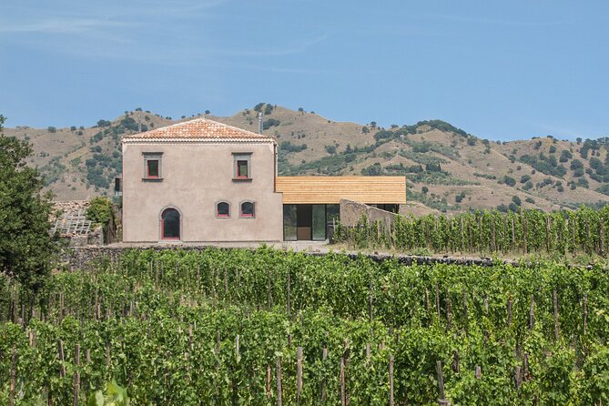 Etna Wine Tasting & Sicilian Lunch –Small Group Tour from Catania - The guides can make or break the day
