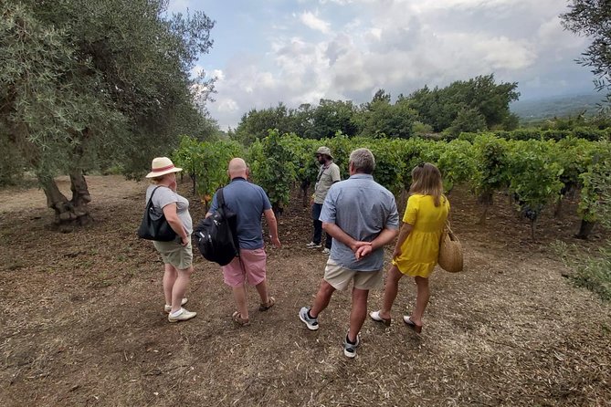 Etna Wineries Tour - Small Groups from Taormina - What this Etna wine tour is really offering