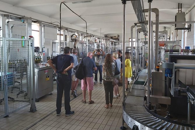 Etna Wineries Tour - Small Groups from Taormina - The guides can make or break the day