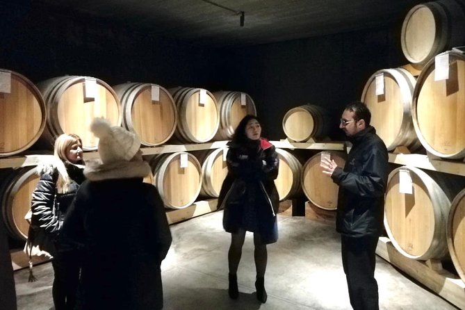 Etna Wineries Tour - Small Groups from Taormina - Timing, comfort, and the small details