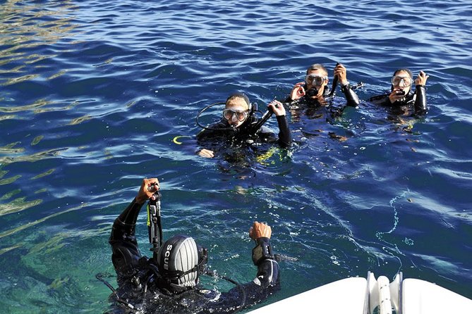 Exciting PADI Discover Scuba Diving Experience Isola Bella Marine Park Taormina - Is the $193.50 price good value?