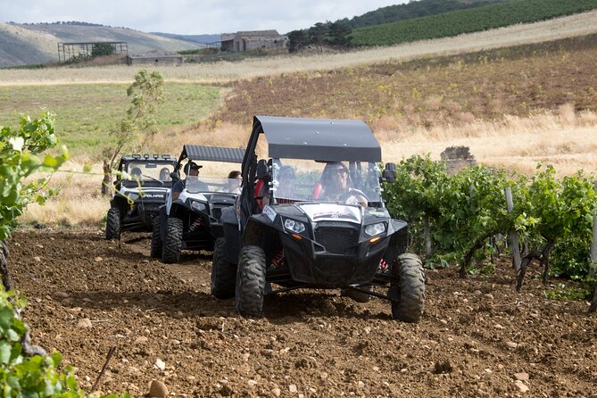 five sense outdoor experience - Why this buggy ride feels different from a normal Segesta visit
