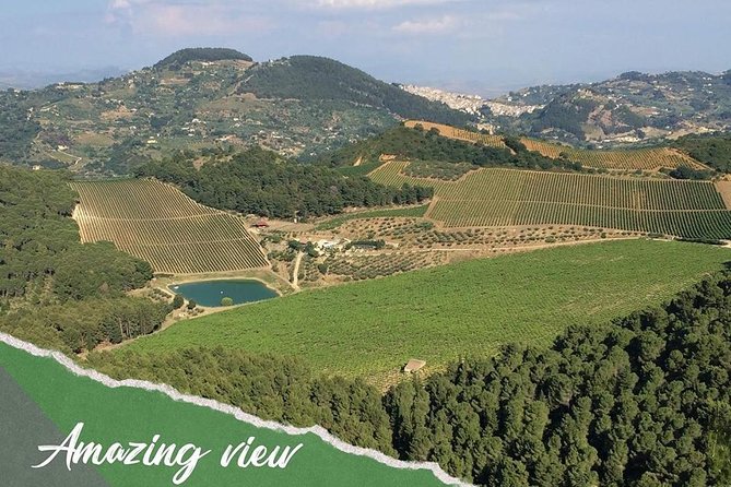 five sense outdoor experience - Through Trapani vineyards near Castellammare del Golfo