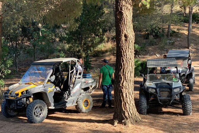 five sense outdoor experience - Monte Pispisa Forest and the Gulf view