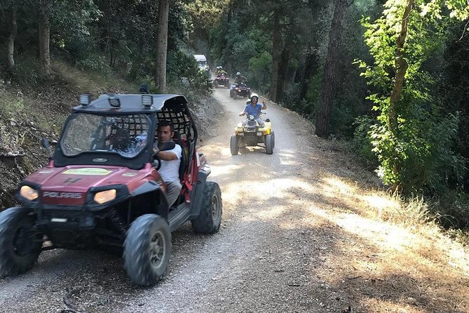 five sense outdoor experience - What the buggy element adds