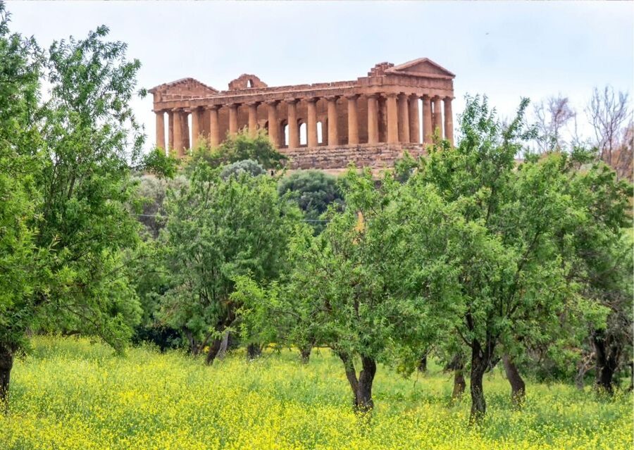 From Agrigento to Siracusa: Valley of Temples & Roman Villa - Is $270.75 a fair price?