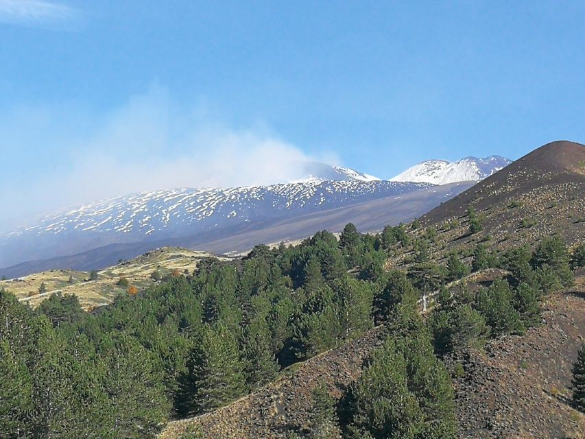 From Catania: Etna & Taormina Day Trip - Timing, group size, and overall value