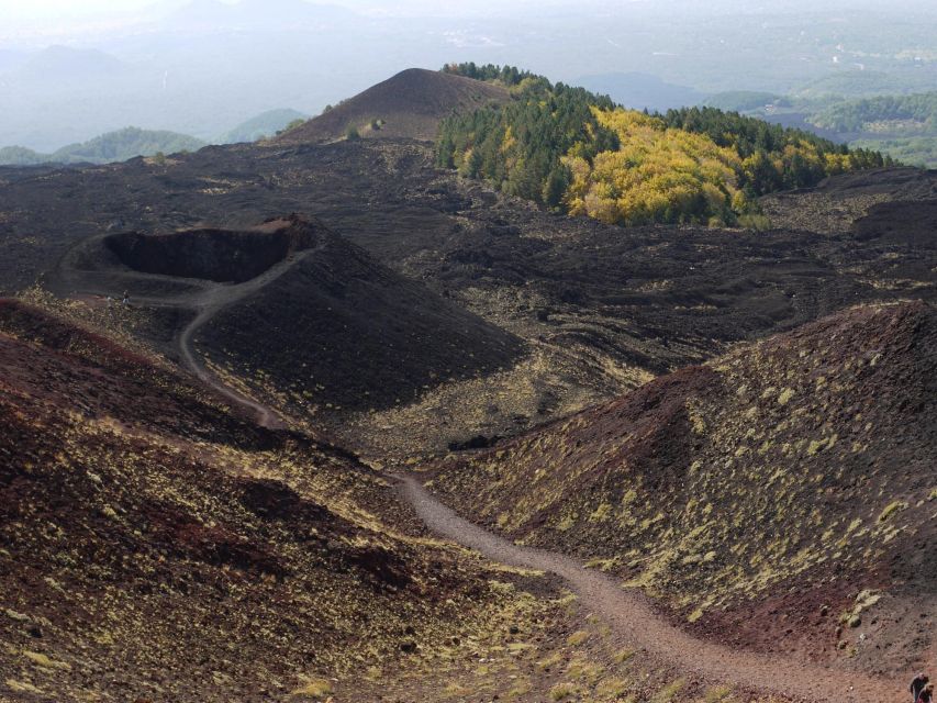 From Catania: Etna tour by Panoramic Bus - Three hours at Rifugio Sapienza