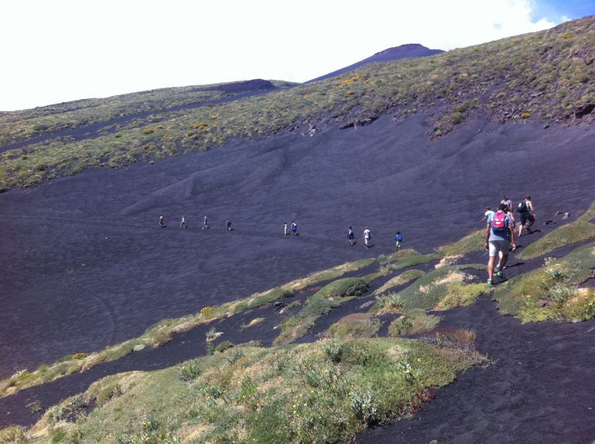 From Catania: Mount Etna Half-Day Tour and Wine Experience - Should you book the Etna and wine day?