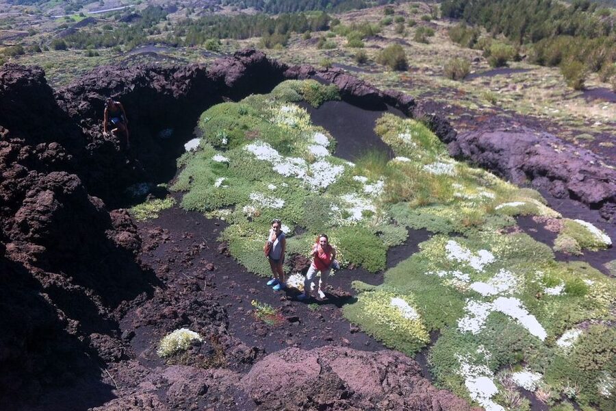 From Catania: Mount Etna Half-Day Tour and Wine Experience - The lava cave adds a welcome surprise