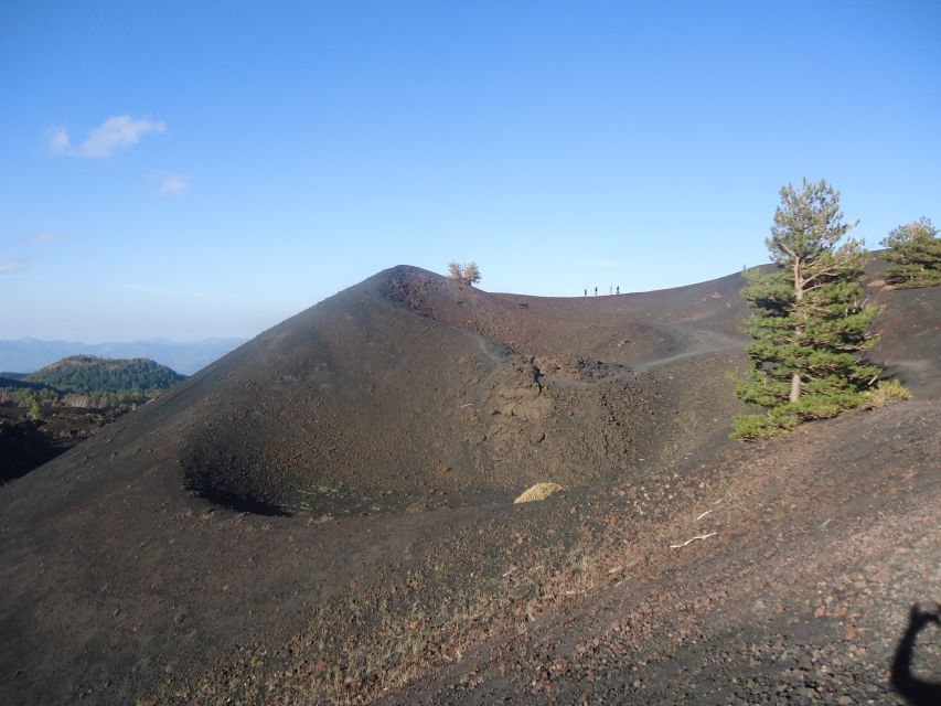 From Catania: Mount Etna Half-Day Tour and Wine Experience - Wine shaped by Etna’s volcanic soil