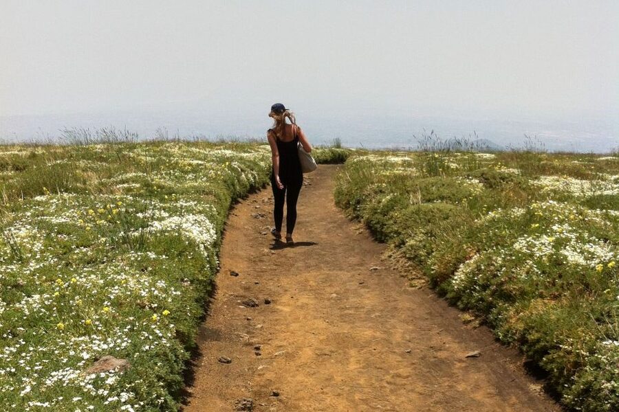 From Catania: Mount Etna Half-Day Tour and Wine Experience - The food pairing is generous