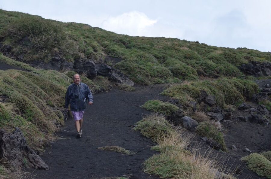 From Catania: Mount Etna Half-Day Tour and Wine Experience - Timing, value, and who should book