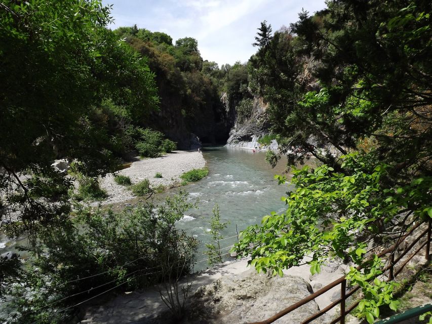 From Catania: Mt. Etna, Wine and Alcantara Tour - What the guides add to the outing