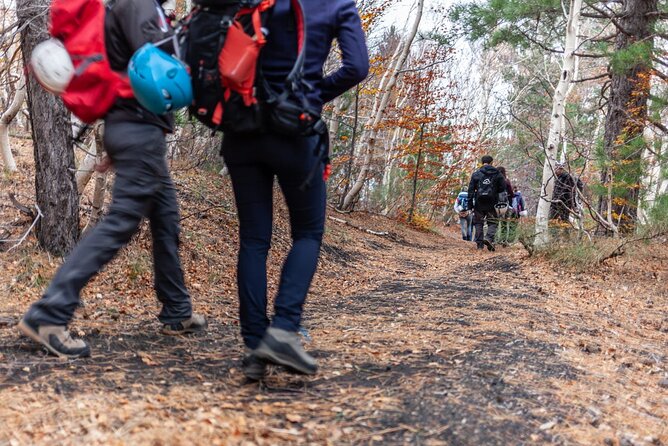 From Catania: Private mt. Etna trekking and pic-nic - Five hours on natural paths in Parco dell’Etna