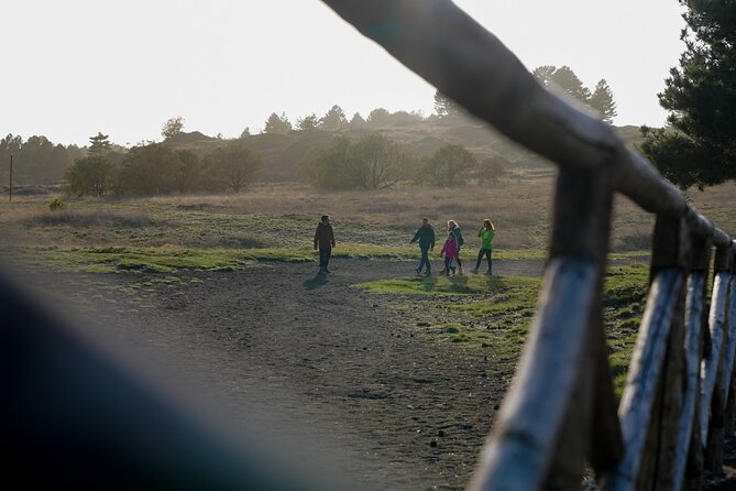 From Catania: Private mt. Etna trekking and pic-nic - The 8:30 a.m. pickup from Catania