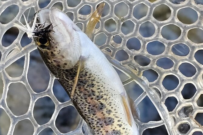 From Catania, Syracuse and Taormina: fly fishing experience - Who should book this experience