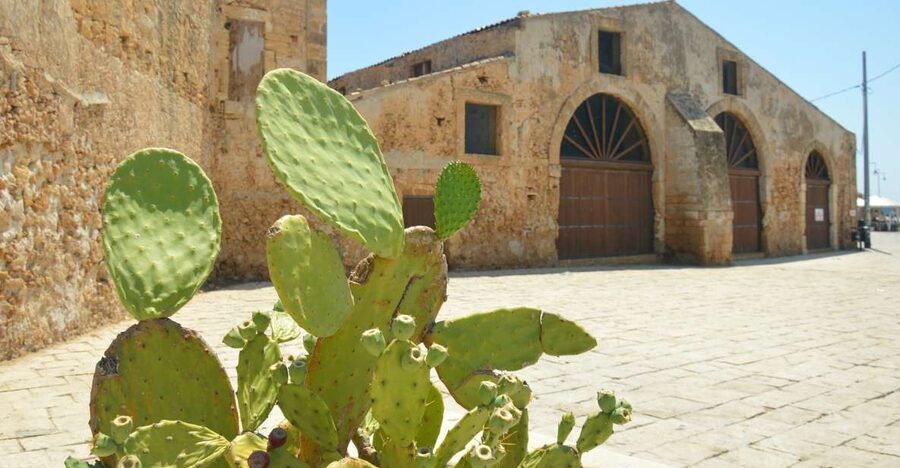 From Catania: Syracuse, Ortigia & Marzamemi Full-day Tour - Ortigia, Syracuse’s Historic Island