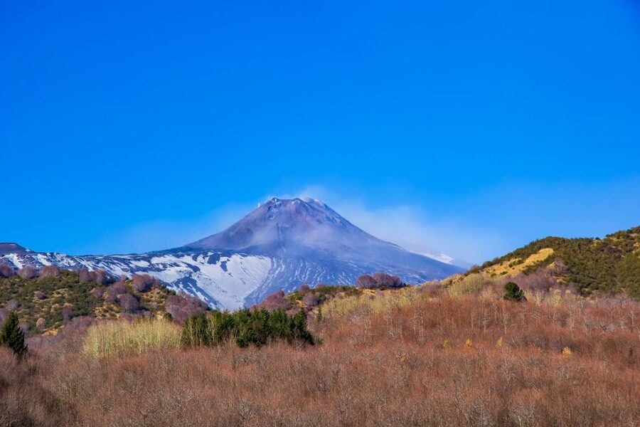 From Catania/Taormina: Mount Etna Private Wine Tasting Tour - Should you book this private Etna tasting?