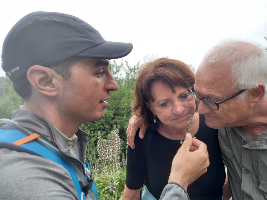 From Siracusa: Pantalica Nature Reserve Guided Hiking Tour - Why Pantalica feels different from a standard archaeological visit