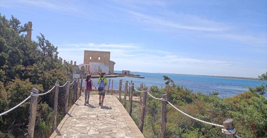 From Siracusa: Vendicari Nature Reserve Guided Tour - Key points at a glance