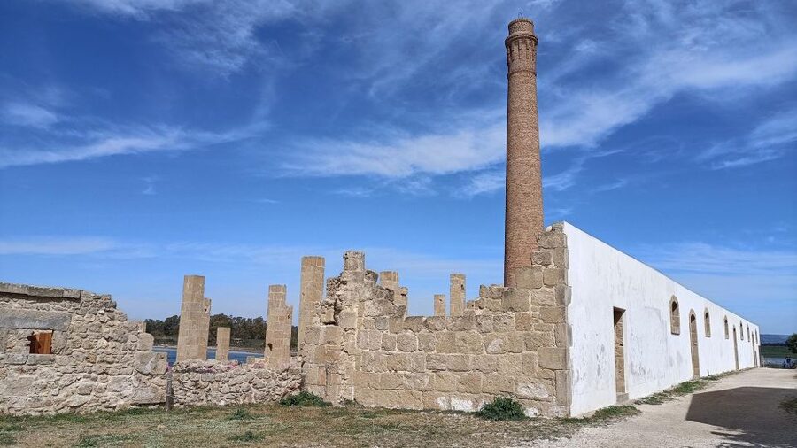 From Siracusa: Vendicari Nature Reserve Guided Tour - What to bring and what not to expect