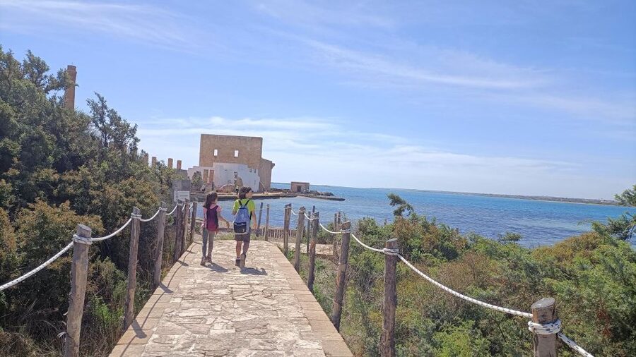 From Siracusa: Vendicari Nature Reserve Guided Tour - Why Vendicari makes a good half-day from Siracusa