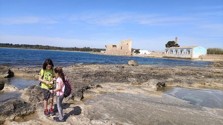 From Siracusa: Vendicari Nature Reserve Guided Tour - Walking the wetland path