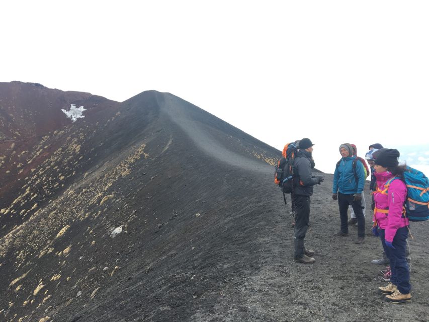 From Syracuse: Etna Tour with Light Lunch and Wine Tasting - Key points to know before booking