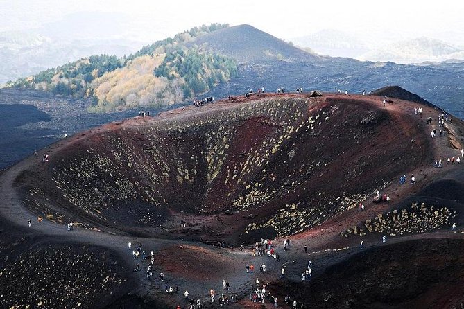 From Syracuse: Private Tour Mount Etna with Lunch at Etna Winery - Why this Syracuse to Mount Etna tour works