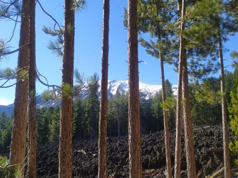 From Taormina: Etna Walking Tour and Wine Tasting in Winery - Reaching Etna’s upper resort area