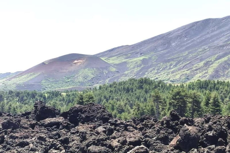 From Taormina: Etna Walking Tour and Wine Tasting in Winery - Leaving Taormina in a small group