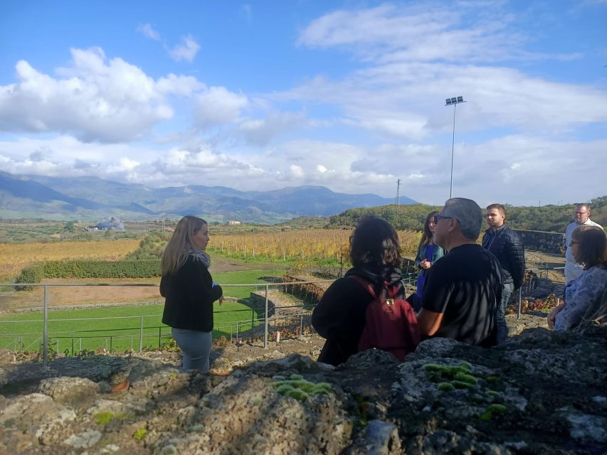 From Taormina: Etna Wineries Small Group Tour - Why Etna wine country makes a good day from Taormina