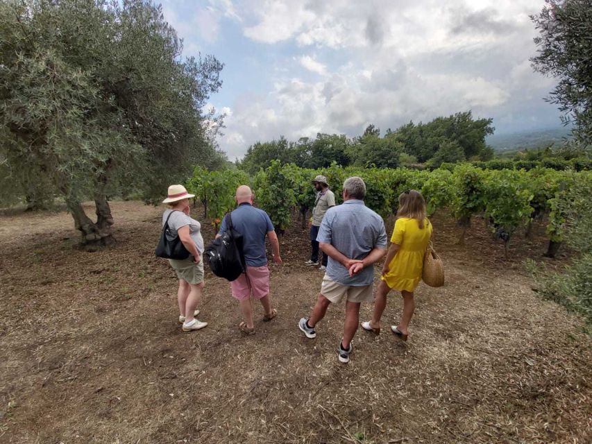 From Taormina: Etna Wineries Small Group Tour - Who should book this Etna winery tour