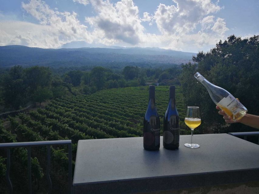 From Taormina: Etna Wineries Small Group Tour - The one-hour ride from Taormina