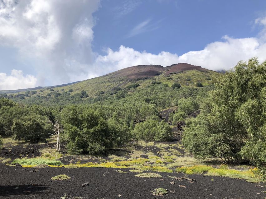 From Taormina: Full-Day Etna, Wine & Alcantara Canyons Tour - Guides, language, and the human side of the day