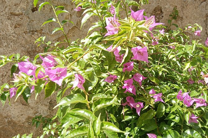 From Taormina Godfather Private Tour Forza D'Agrò and Savoca - Key points at a glance