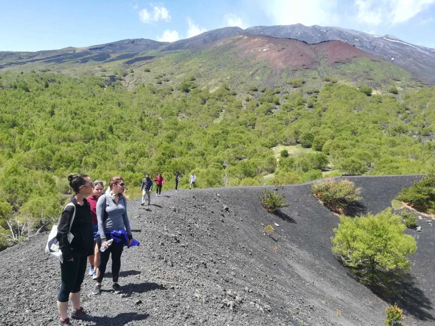 From Taormina: Half-Day Mount Etna Morning Trek - Is $106 good value?