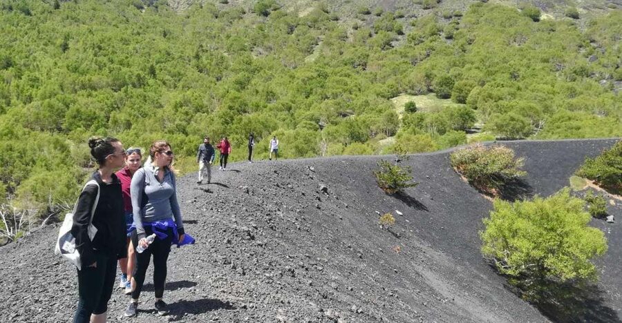 From Taormina: Half-Day Mount Etna Morning Trek - Pickup from Taormina and the ride uphill