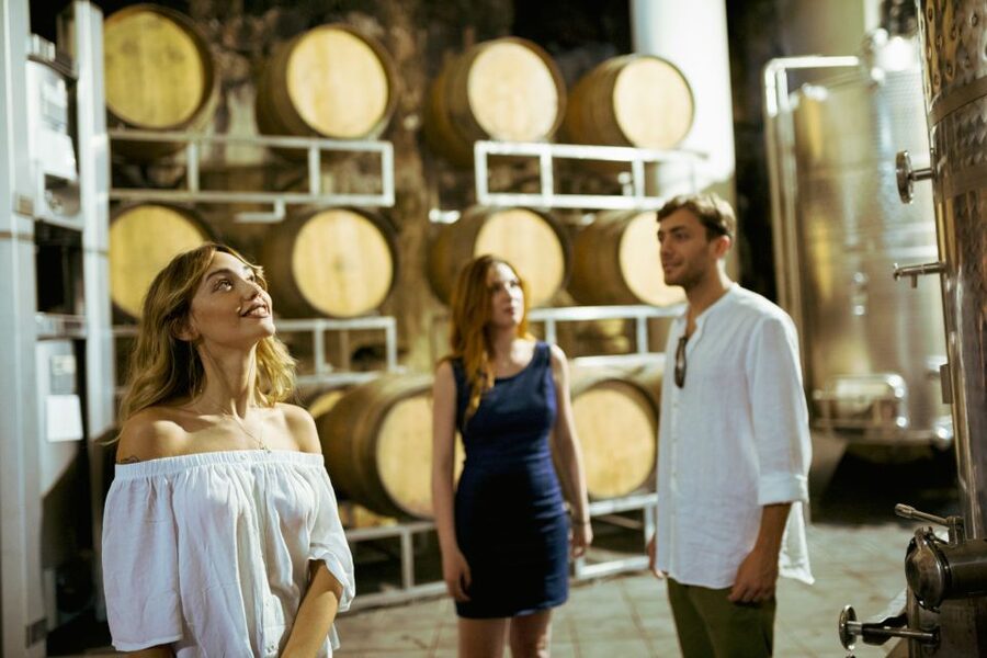 From Taormina: Mount Etna Food and Wine Tasting Tour - Group size, pace, and the feel of the day