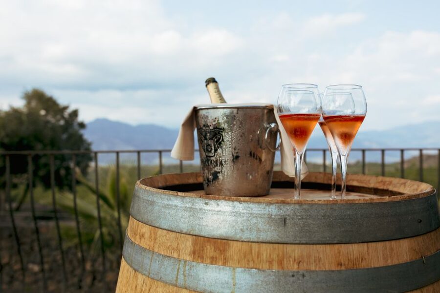 From Taormina: Mount Etna Food and Wine Tasting Tour - Is $168.79 a good value?