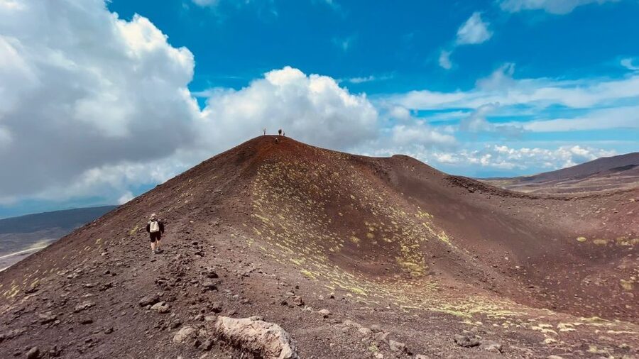 From Taormina: Mount Etna Guided Bus Tour - The climb through Sicily’s changing plant life