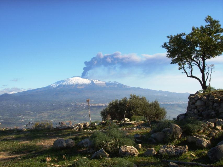 From Taormina: Mount Etna Guided Bus Tour - Free time, walking, and photo opportunities