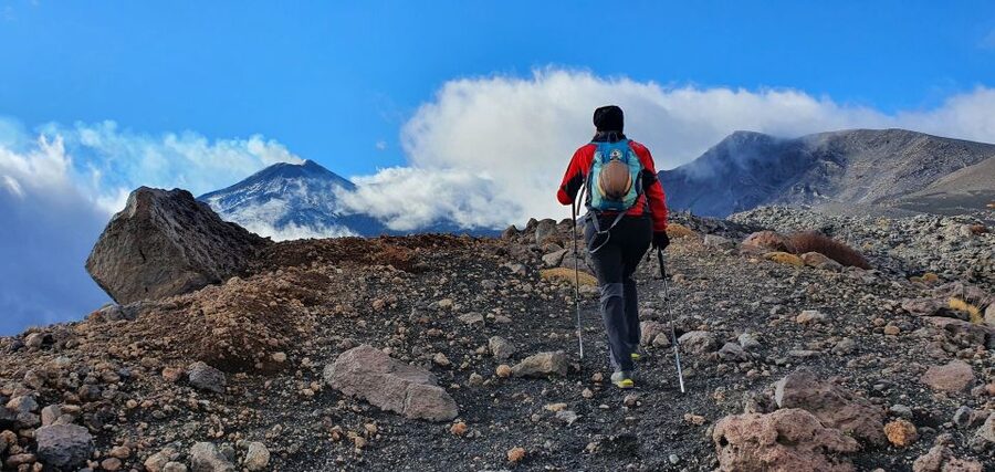 From Taormina or Catania: Private Full-Day Mount Etna Hike - Key points at a glance