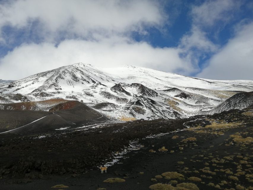 From Taormina or Catania: Private Full-Day Mount Etna Hike - Walking across Etna’s older eruptions