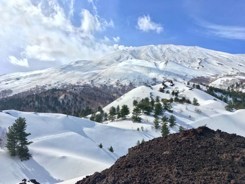 From Taormina or Catania: Private Full-Day Mount Etna Hike - The lava tube and easy caving stop
