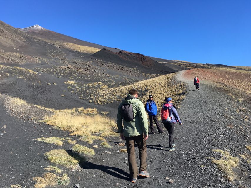 From Taormina or Catania: Private Full-Day Mount Etna Hike - What the private format is worth